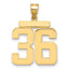 14k Large Polished Number 36 Charm