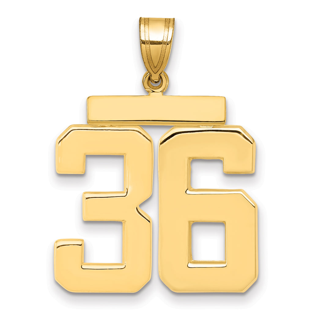 10K Yellow Gold Polished Large Number 36 Charm