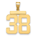 10K Yellow Gold Polished Large Number 38 Charm
