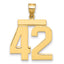 10K Yellow Gold Polished Large Number 42 Charm