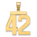 10K Yellow Gold Polished Large Number 42 Charm