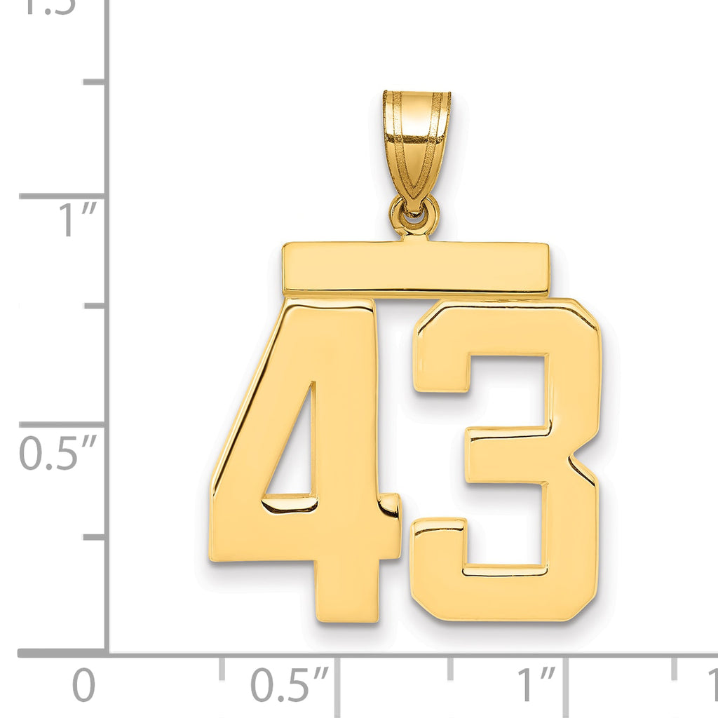 10K Yellow Gold Polished Large Number 43 Charm