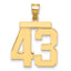 10K Yellow Gold Polished Large Number 43 Charm