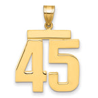 14k Large Polished Number 45 Charm