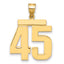 14k Large Polished Number 45 Charm