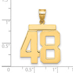 10K Yellow Gold Polished Large Number 48 Charm
