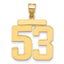 14k Large Polished Number 53 Charm