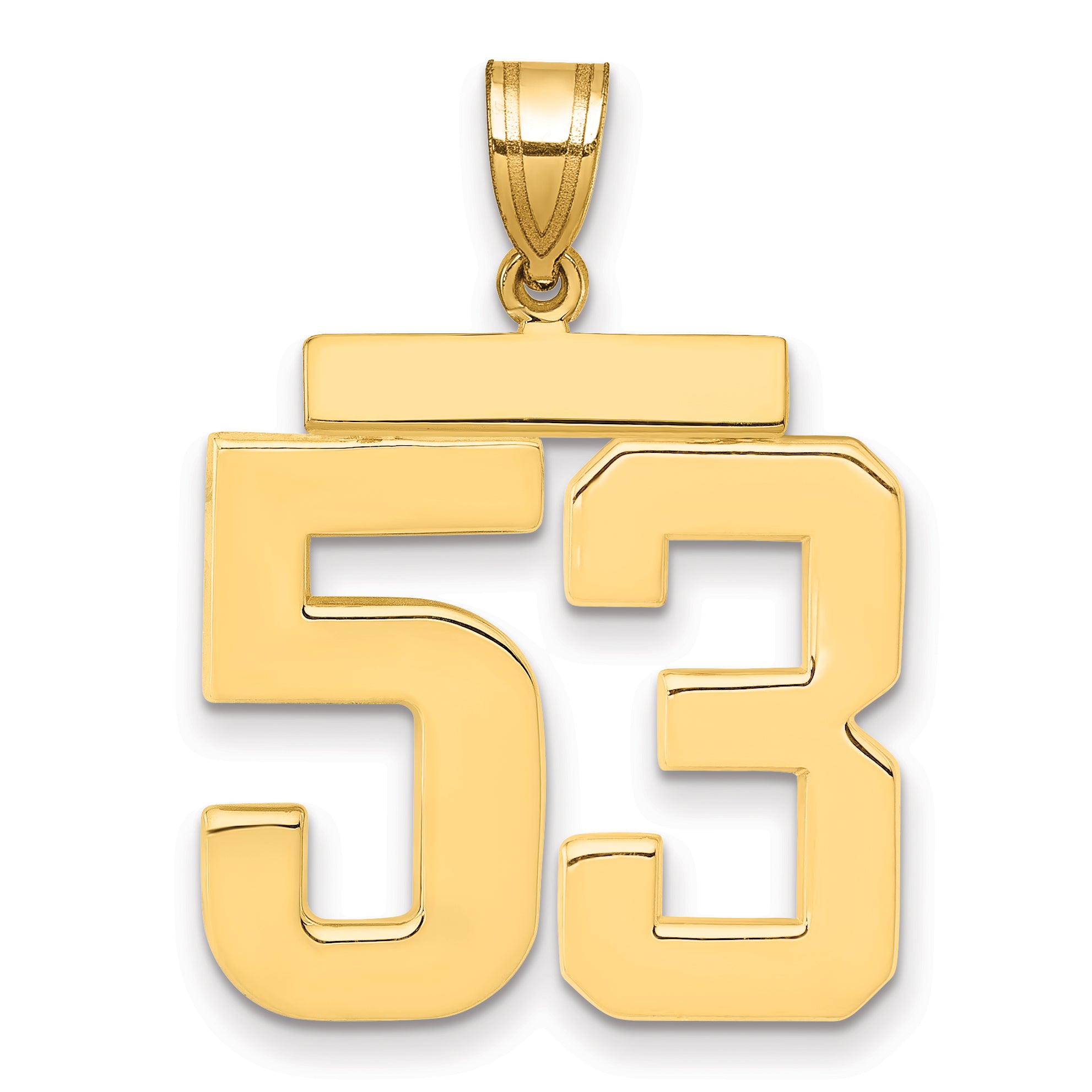 10K Yellow Gold Polished Large Number 53 Charm