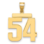 10K Yellow Gold Polished Large Number 54 Charm