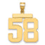 10K Yellow Gold Polished Large Number 58 Charm