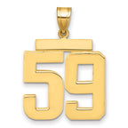 10K Yellow Gold Polished Large Number 59 Charm