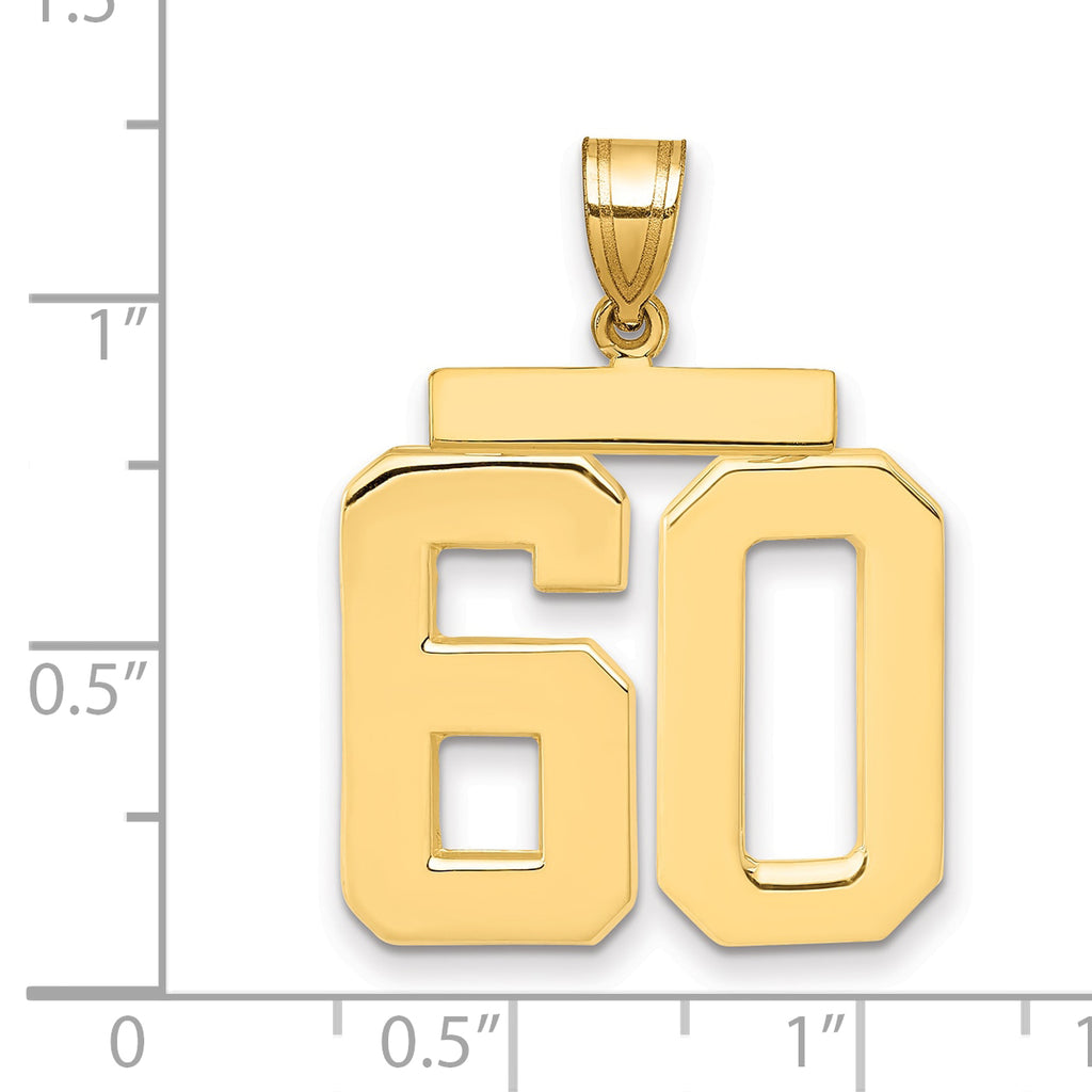 10K Yellow Gold Polished Large Number 60 Charm