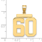 10K Yellow Gold Polished Large Number 60 Charm