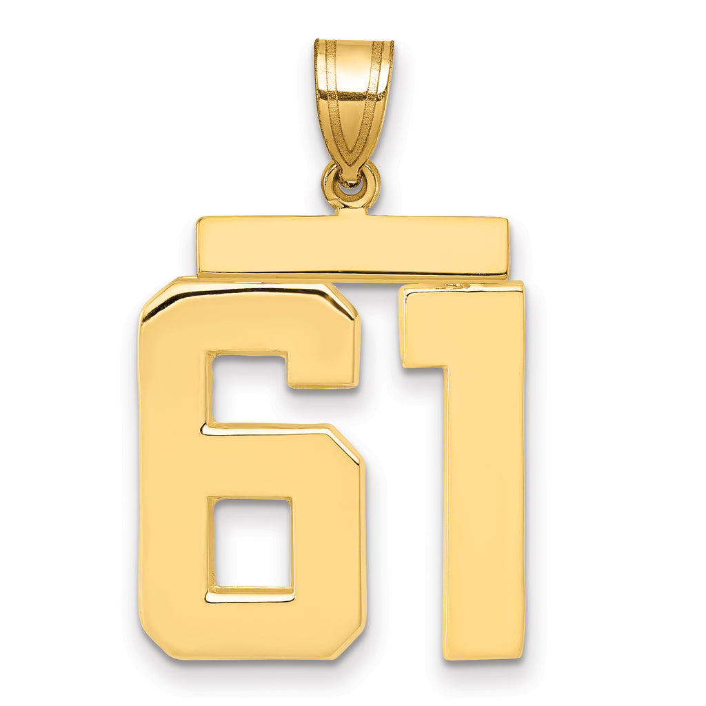 10K Yellow Gold Polished Large Number 61 Charm