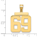 10K Yellow Gold Polished Large Number 69 Charm