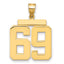 14k Large Polished Number 69 Charm