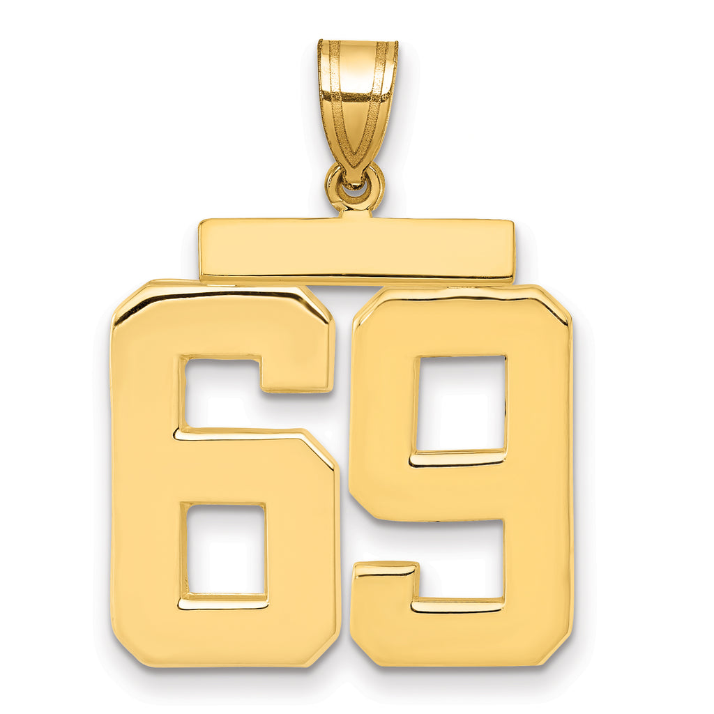 10K Yellow Gold Polished Large Number 69 Charm