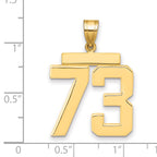 10K Yellow Gold Polished Large Number 73 Charm