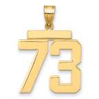 10K Yellow Gold Polished Large Number 73 Charm