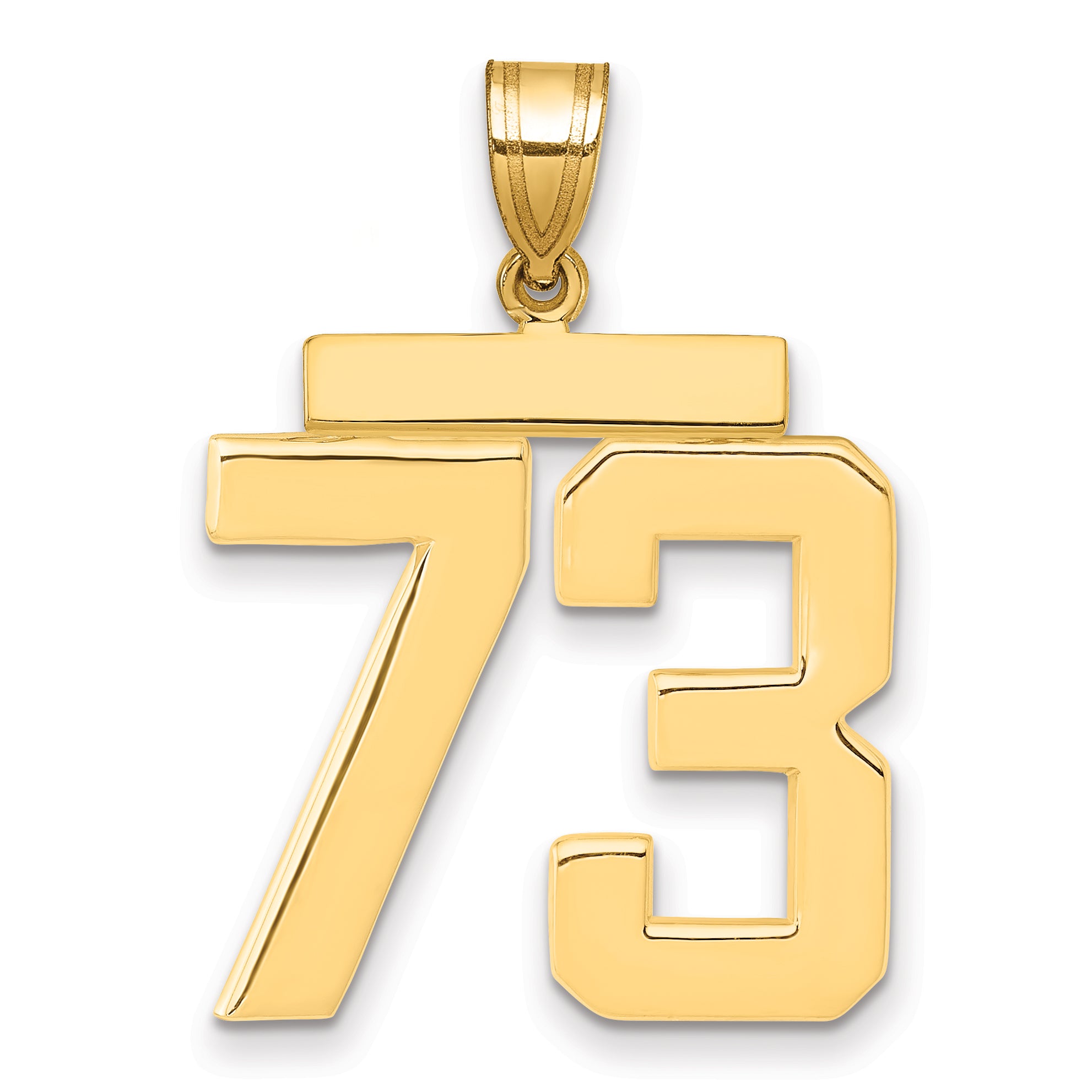 10K Yellow Gold Polished Large Number 73 Charm