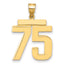 14k Large Polished Number 75 Charm