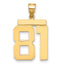 10K Yellow Gold Polished Large Number 81 Charm