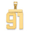 10K Yellow Gold Polished Large Number 91 Charm
