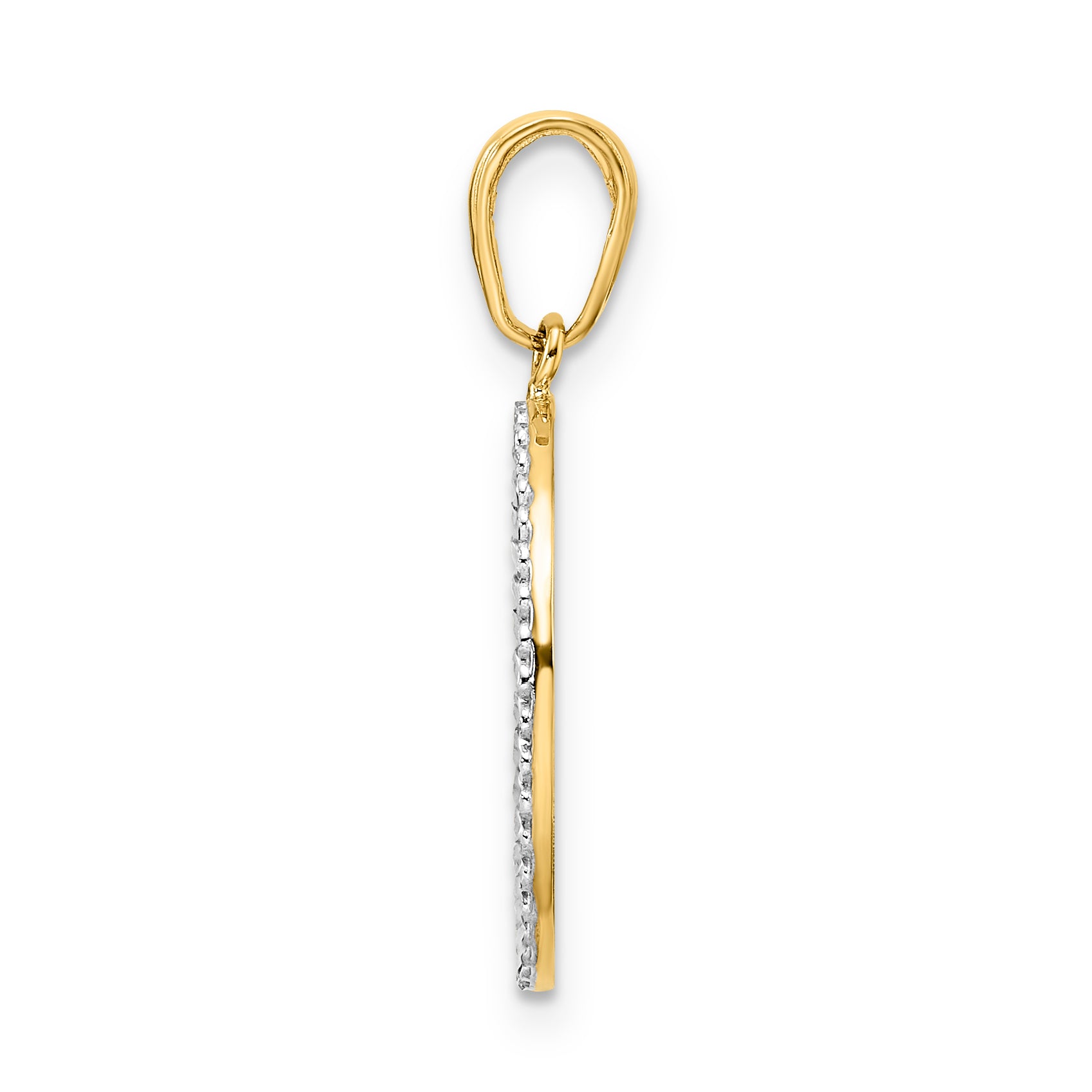 14k and White Rhodium Diamond-cut Dog in Oval Pendant Secondary image