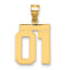 10k Medium Polished Number 01 Charm