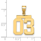 10k Medium Polished Number 03 Charm