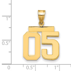 10k Medium Polished Number 05 Charm