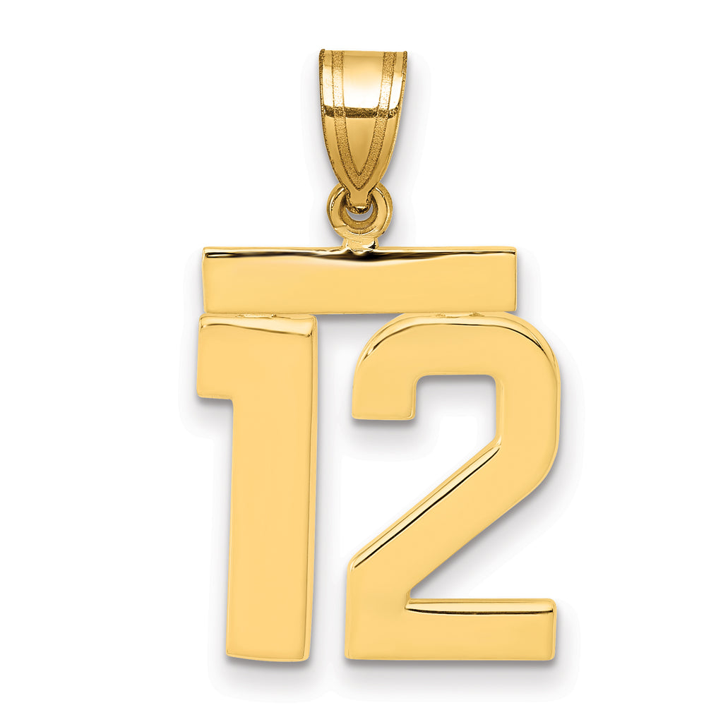 10K Yellow Gold Polished Medium Number 12 Charm