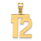 10K Yellow Gold Polished Medium Number 12 Charm