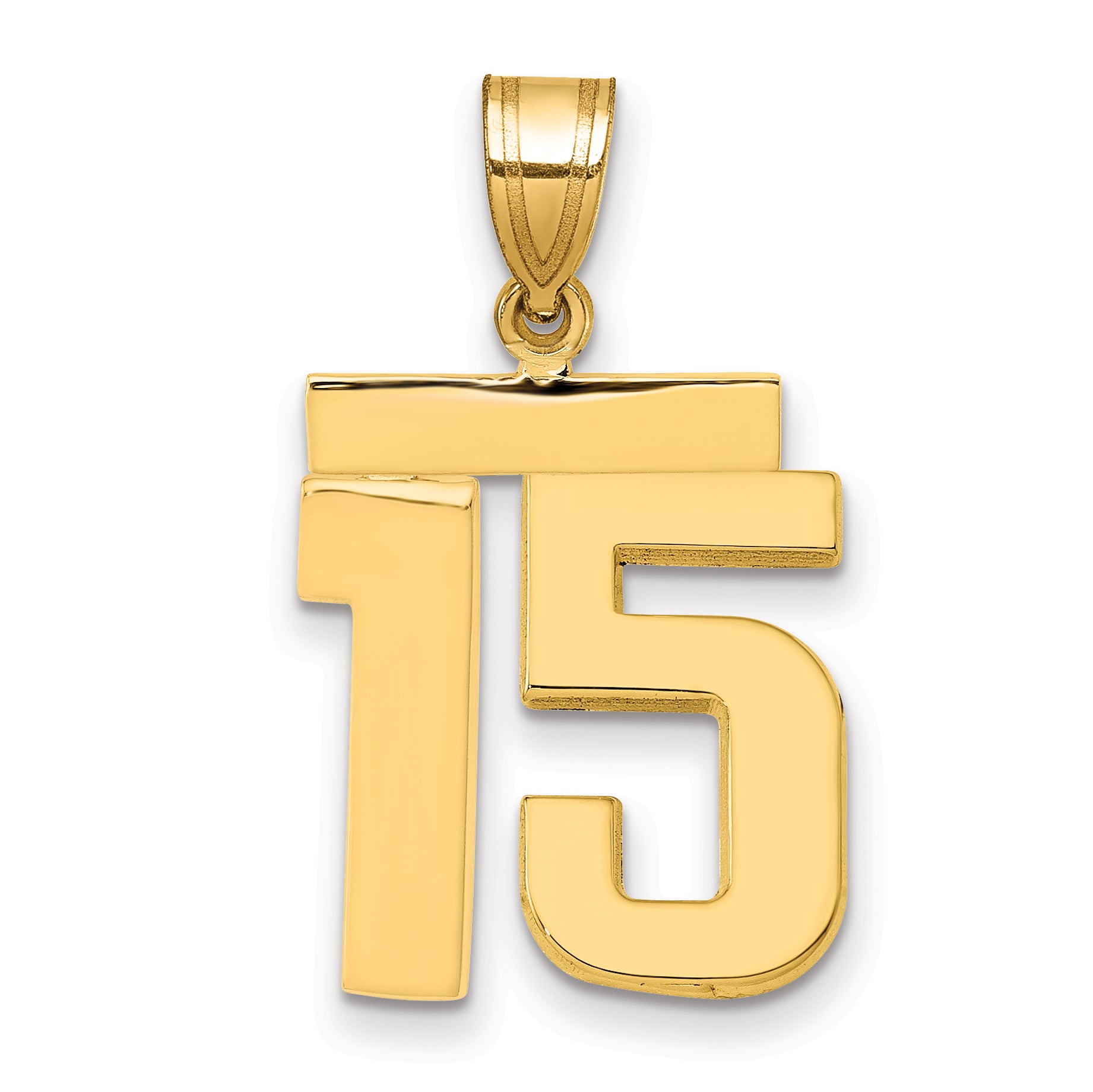 10K Yellow Gold Polished Medium Number 15 Charm Main image