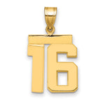 10K Yellow Gold Polished Medium Number 16 Charm