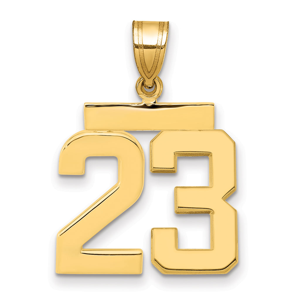 10K Yellow Gold Polished Medium Number 23 Charm
