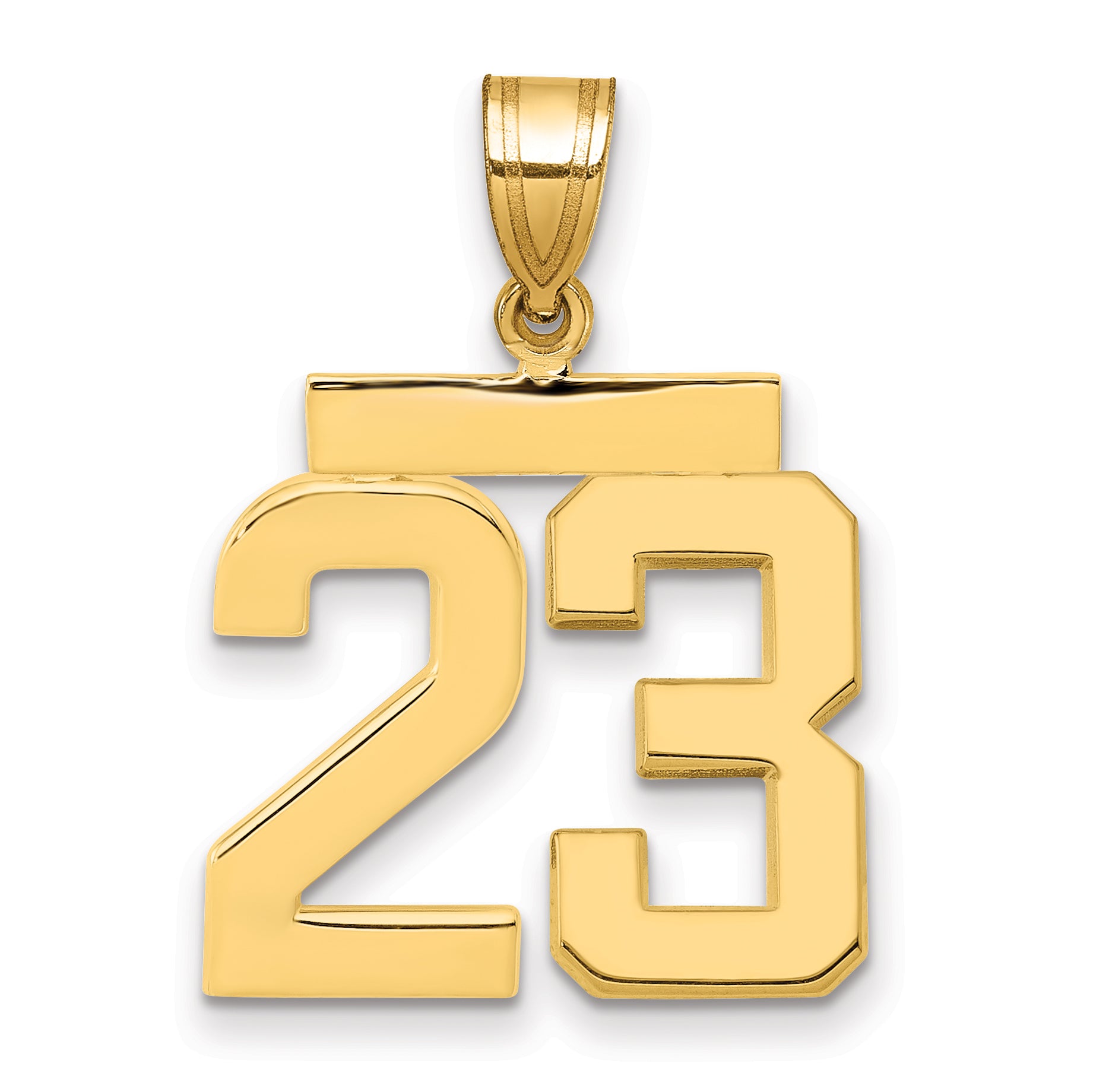10K Yellow Gold Polished Medium Number 23 Charm