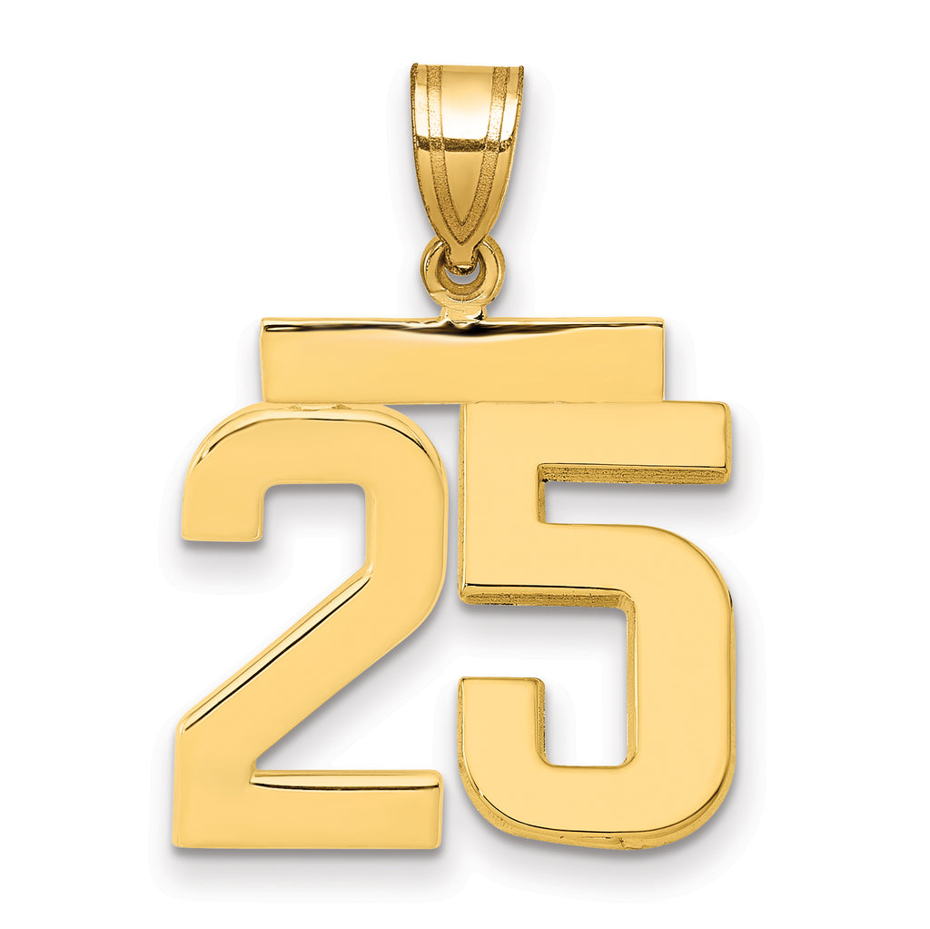 10K Yellow Gold Polished Medium Number 25 Charm