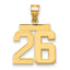 10K Yellow Gold Polished Medium Number 26 Charm