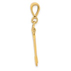 14k Medium Polished Number 29 Charm