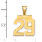 10K Yellow Gold Polished Medium Number 29 Charm