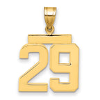 10K Yellow Gold Polished Medium Number 29 Charm