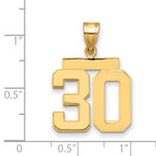 10K Yellow Gold Polished Medium Number 30 Charm