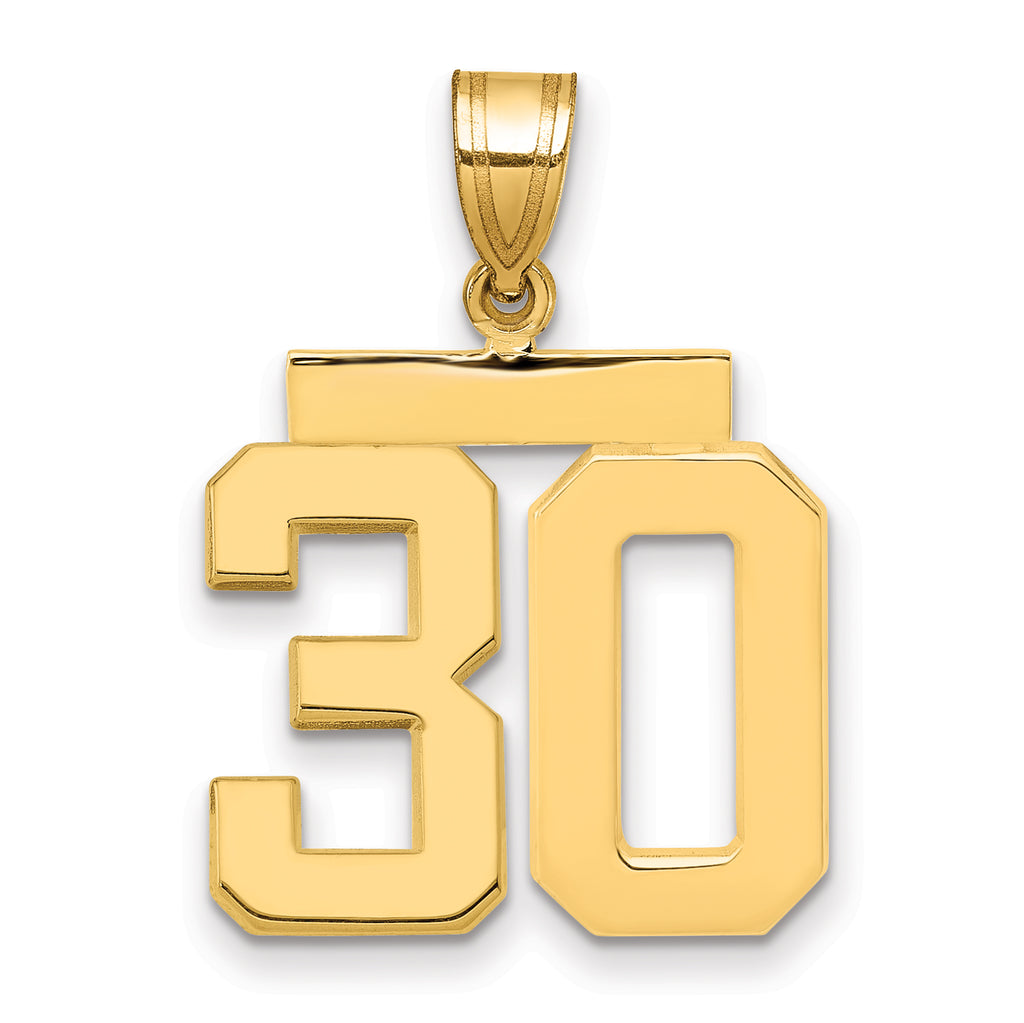 10K Yellow Gold Polished Medium Number 30 Charm