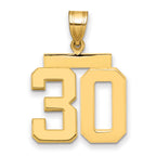 10K Yellow Gold Polished Medium Number 30 Charm