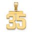 10K Yellow Gold Polished Medium Number 35 Charm