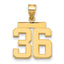 10K Yellow Gold Polished Medium Number 36 Charm