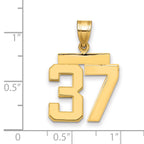 10K Yellow Gold Polished Medium Number 37 Charm