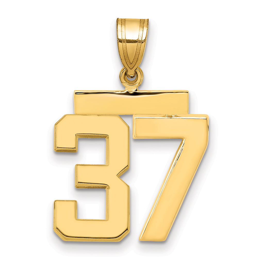 10K Yellow Gold Polished Medium Number 37 Charm