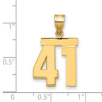 10K Yellow Gold Polished Medium Number 41 Charm